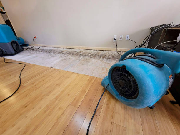 Professional Water Extraction technician working in Geneva, NE